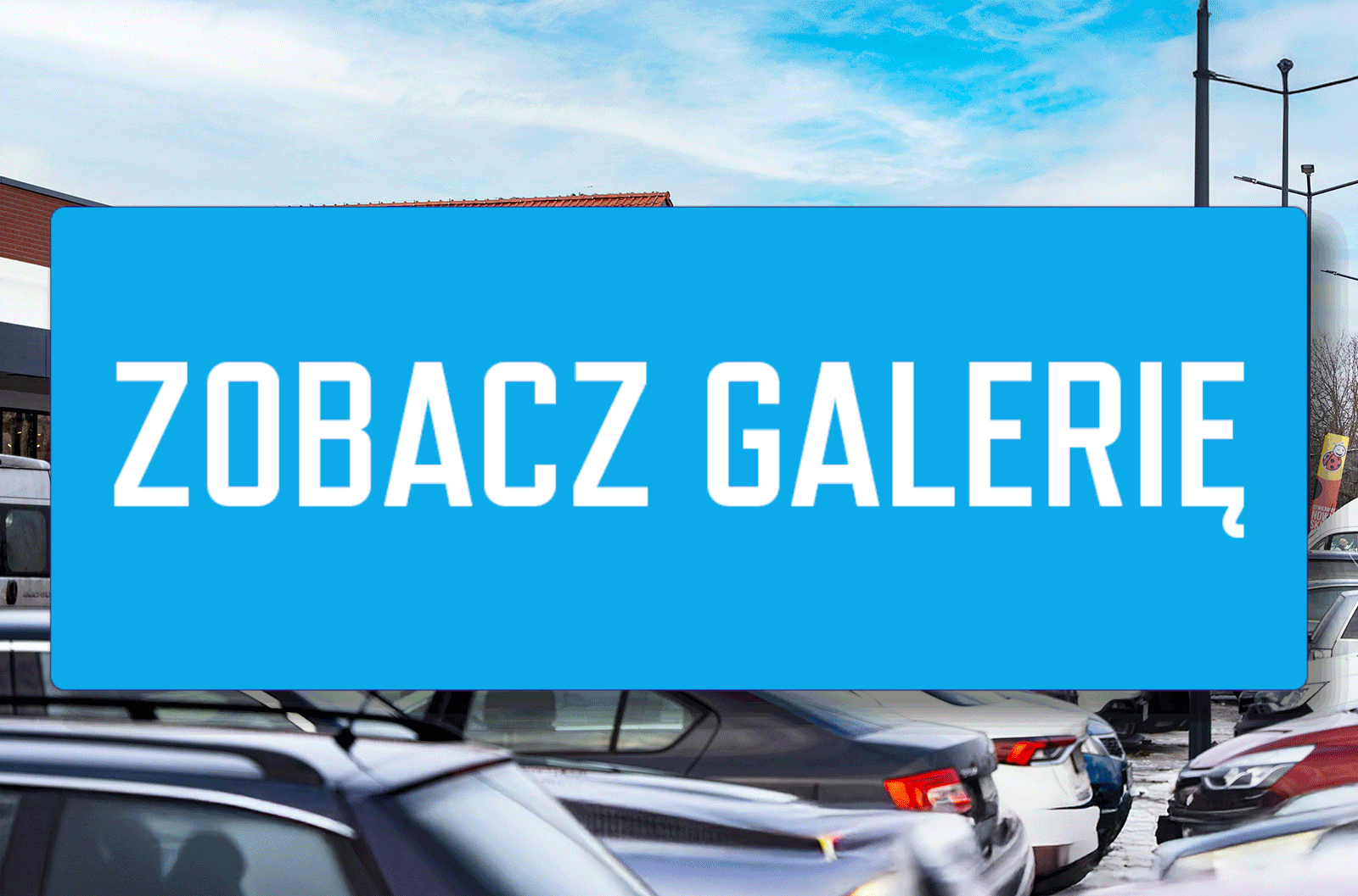 Nowy park handlowy otwarty w Szprotawie. M Park już działa! M Park Szprotawa - sklepy w Szprotawie