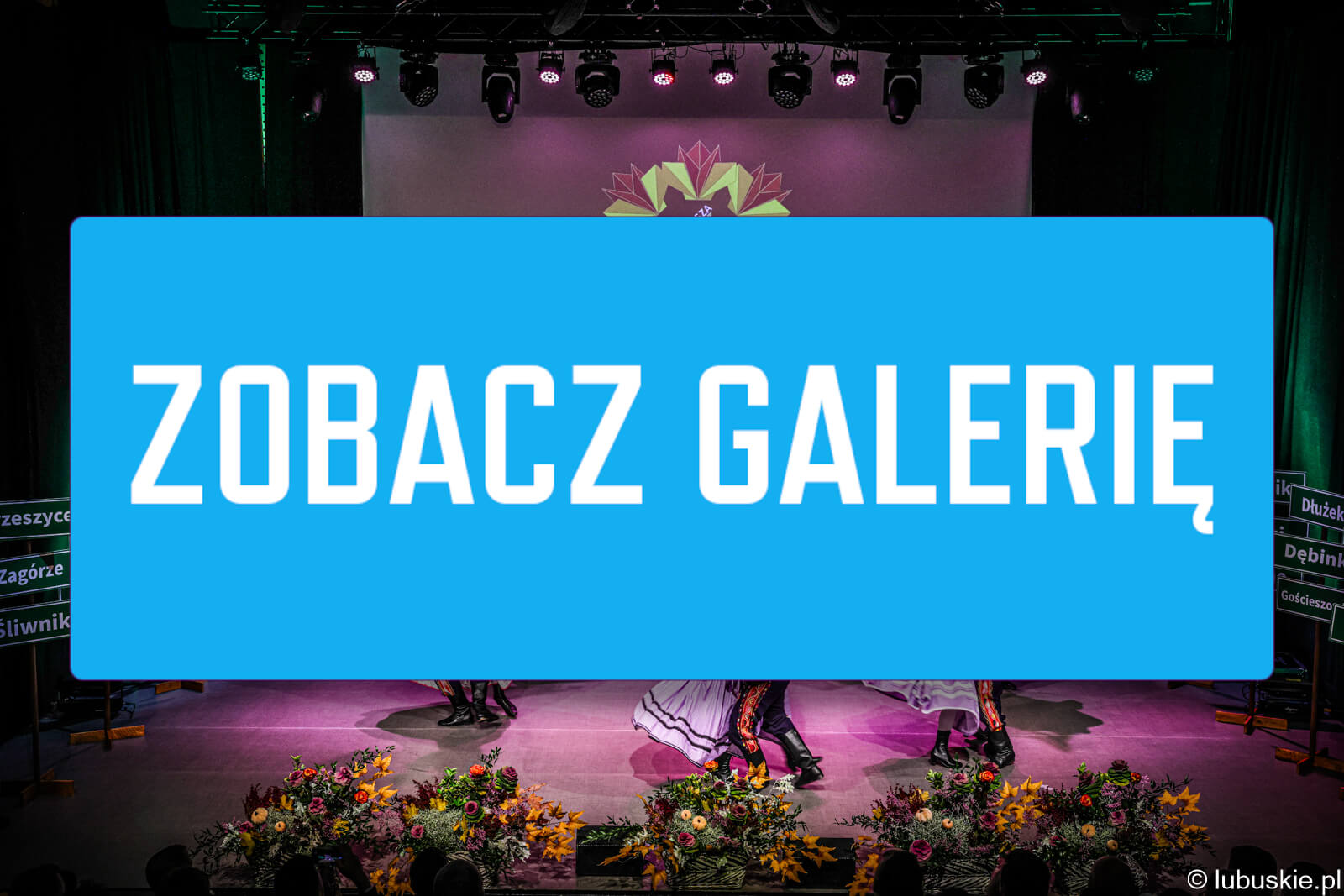 Najpiękniejsza wieś Lubuskie 2025 - ranking lubuskich wsi konkurs