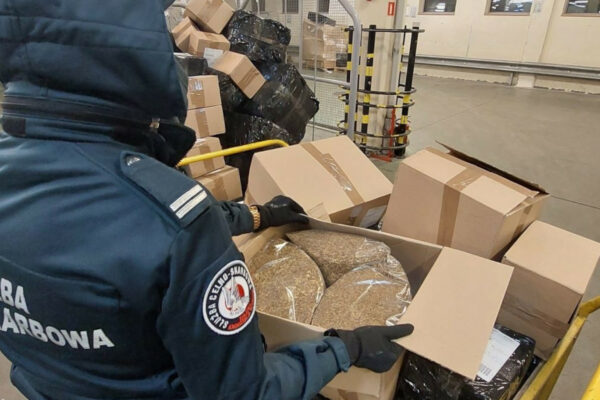 KAS Lubuskie. Nielegalny tytoń - sortownie paczek