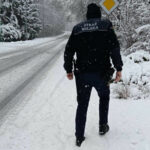 odśnieżanie chodników - Straż Miejska Zielona Góra. mandaty za śnieg