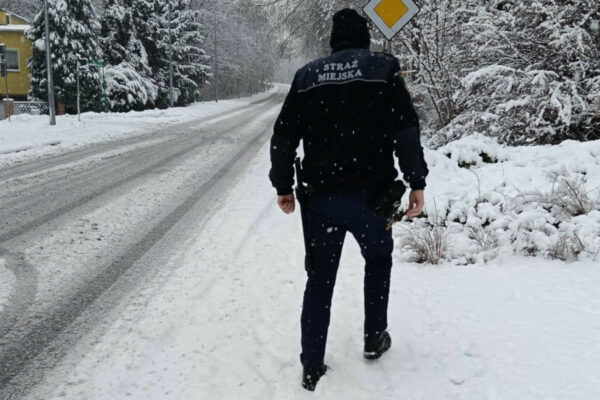 odśnieżanie chodników - Straż Miejska Zielona Góra. mandaty za śnieg
