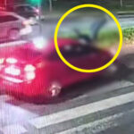 Potrącenie Zielona Góra - Wypadek Zielona Góra