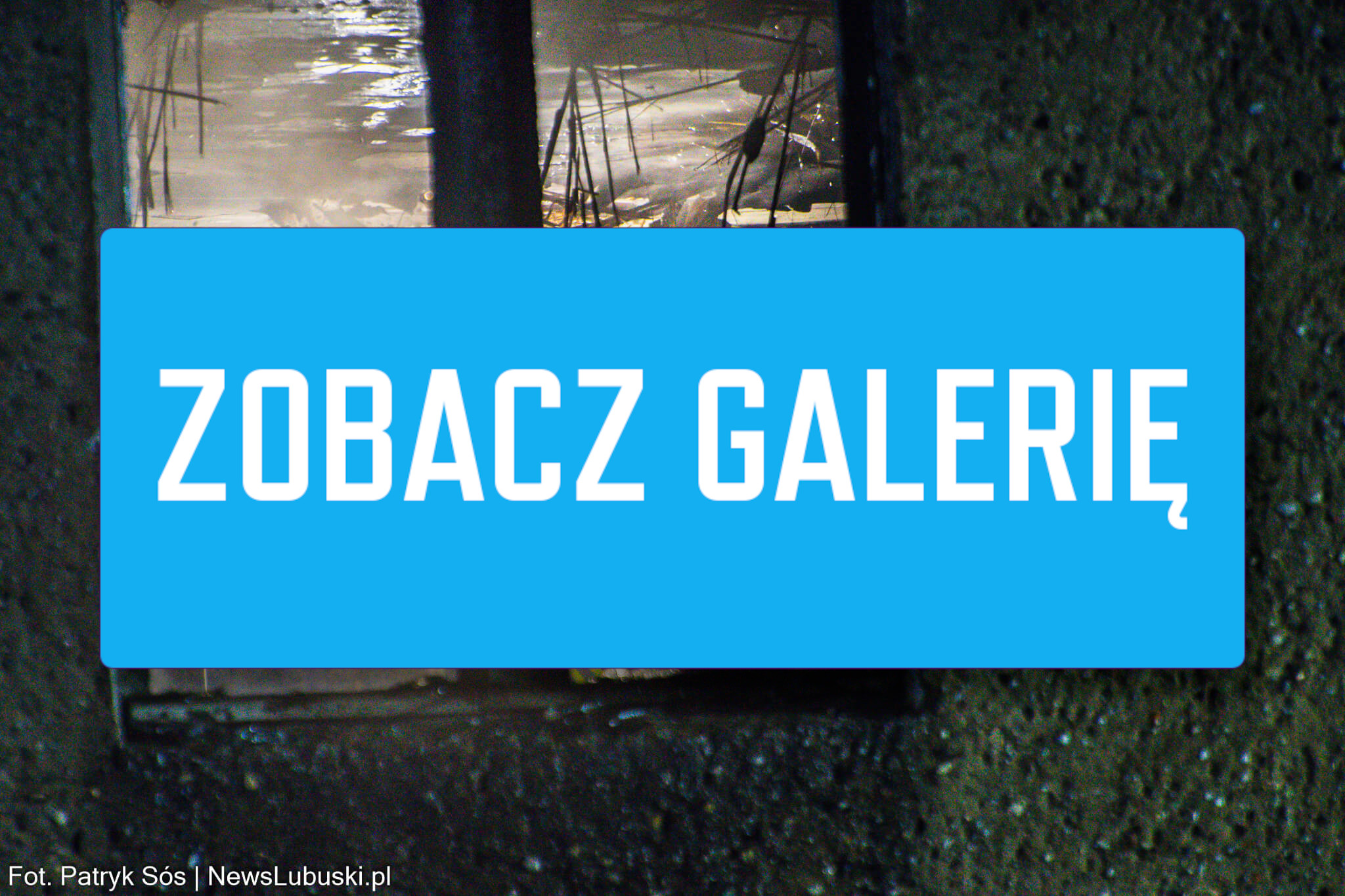 Pożar w Zielonej Górze. Płomienie w budynku w centrum – akcja gaśnicza Pożar Zielona Góra Batorego - Straż pożarna Zielona Góra