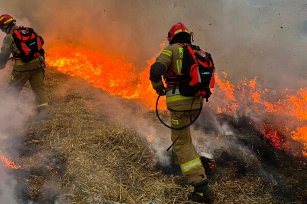 Ćwiczenia strażaków - pożary traw i lasów. Straż pożarna Lubuskie