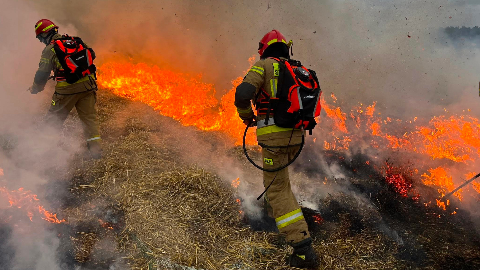 Ćwiczenia strażaków - pożary traw i lasów. Straż pożarna Lubuskie