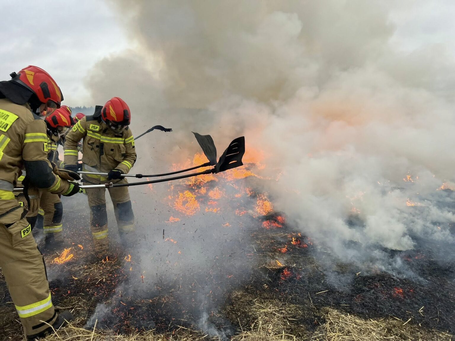 Ćwiczenia strażak&oacute;w - pożary traw i las&oacute;w. Straż pożarna Lubuskie