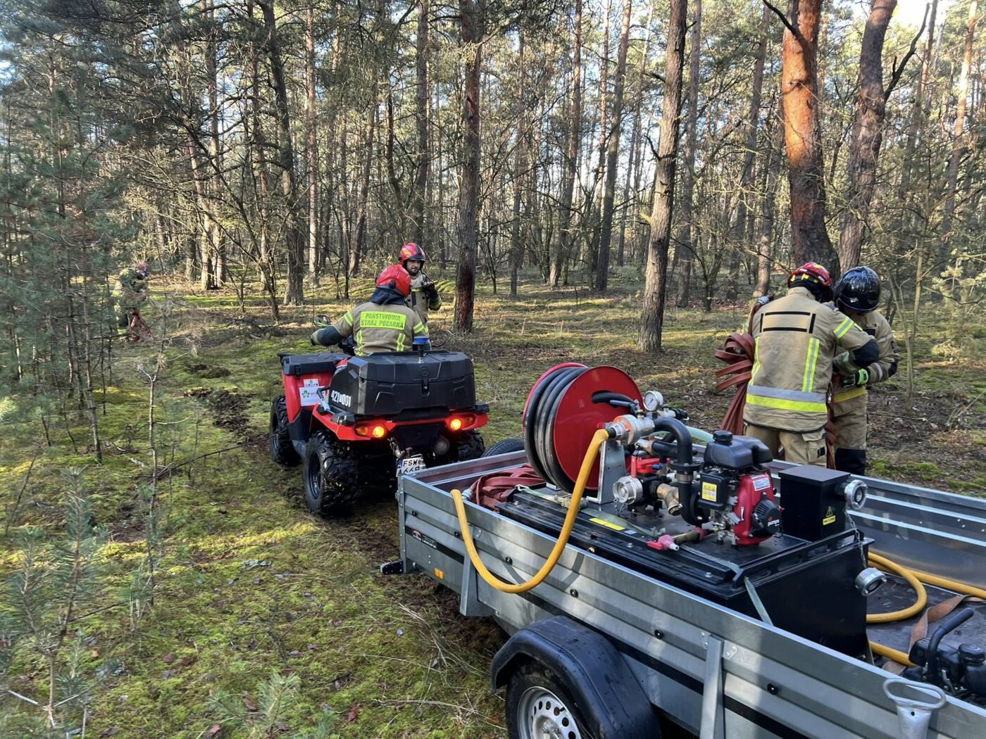 Ćwiczenia strażaków - pożary traw i lasów. Straż pożarna Lubuskie