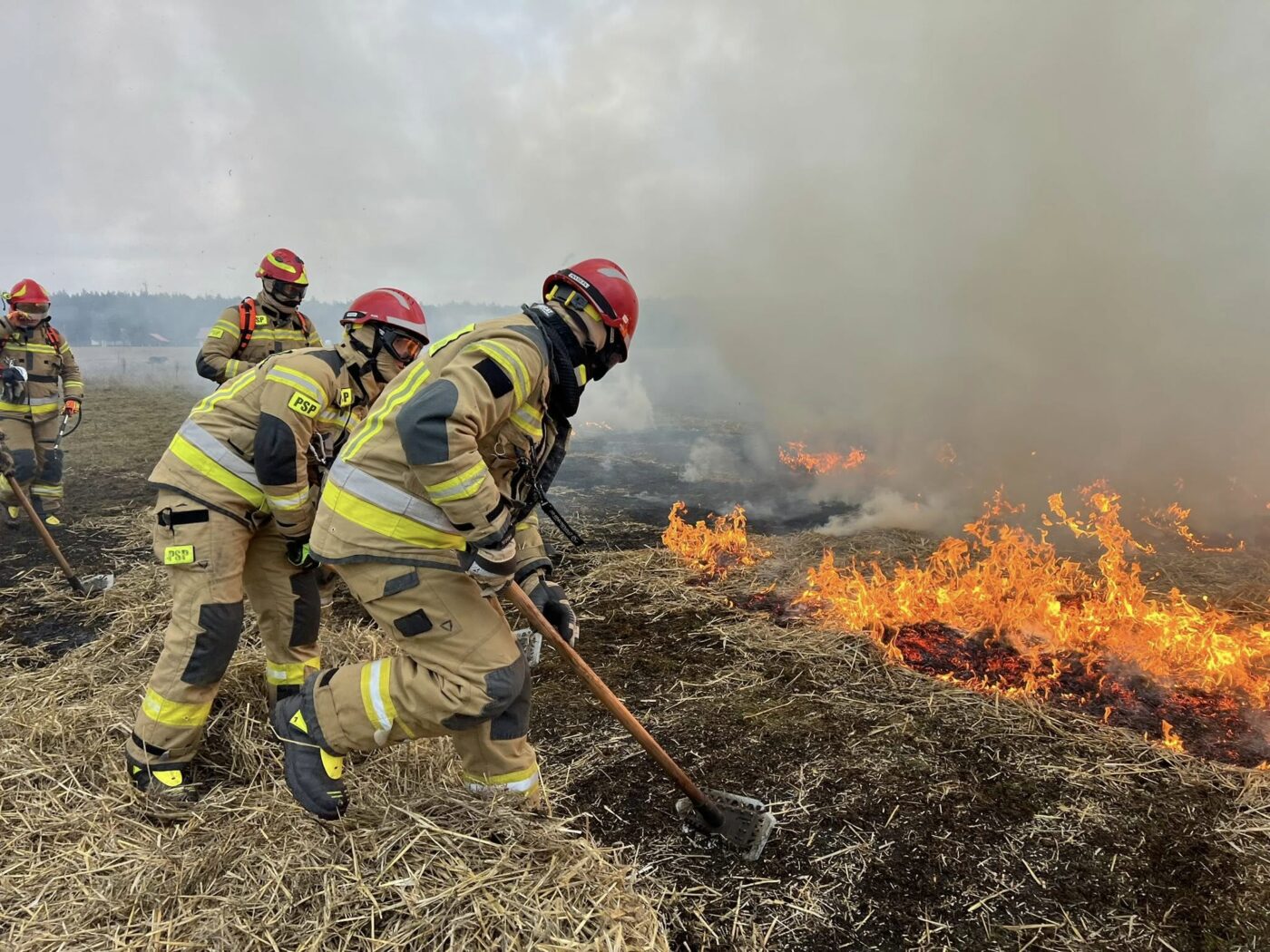 Ćwiczenia strażaków - pożary traw i lasów. Straż pożarna Lubuskie