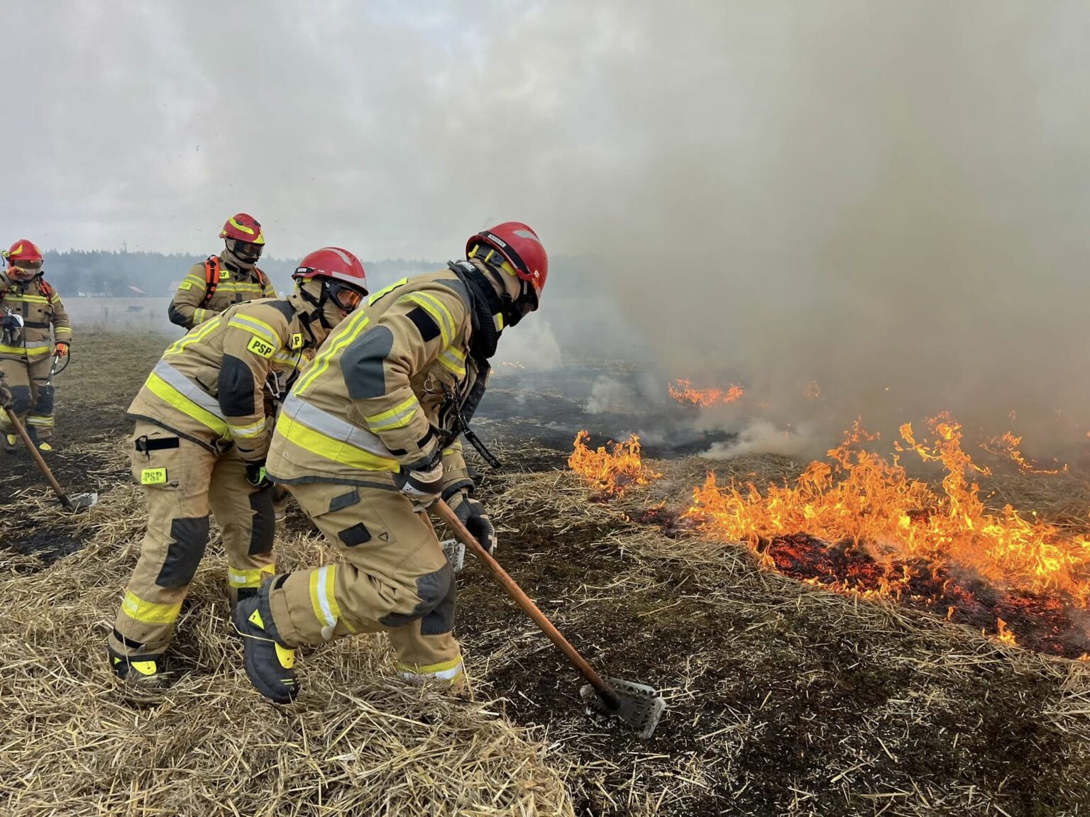 Ćwiczenia strażak&oacute;w - pożary traw i las&oacute;w. Straż pożarna Lubuskie