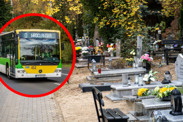 Rozkład jazdy MZK Zielona Góra Wszystkich Świętych - cmentarz Zielona Góra 1 listopada