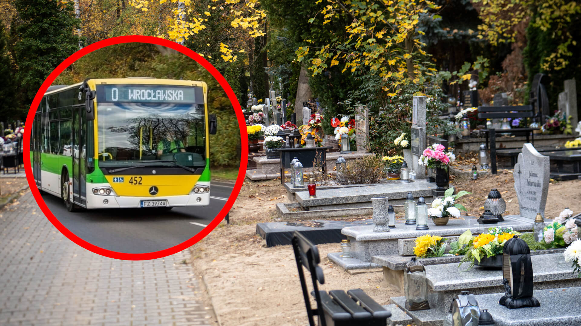 Rozkład jazdy MZK Zielona Góra Wszystkich Świętych - cmentarz Zielona Góra 1 listopada