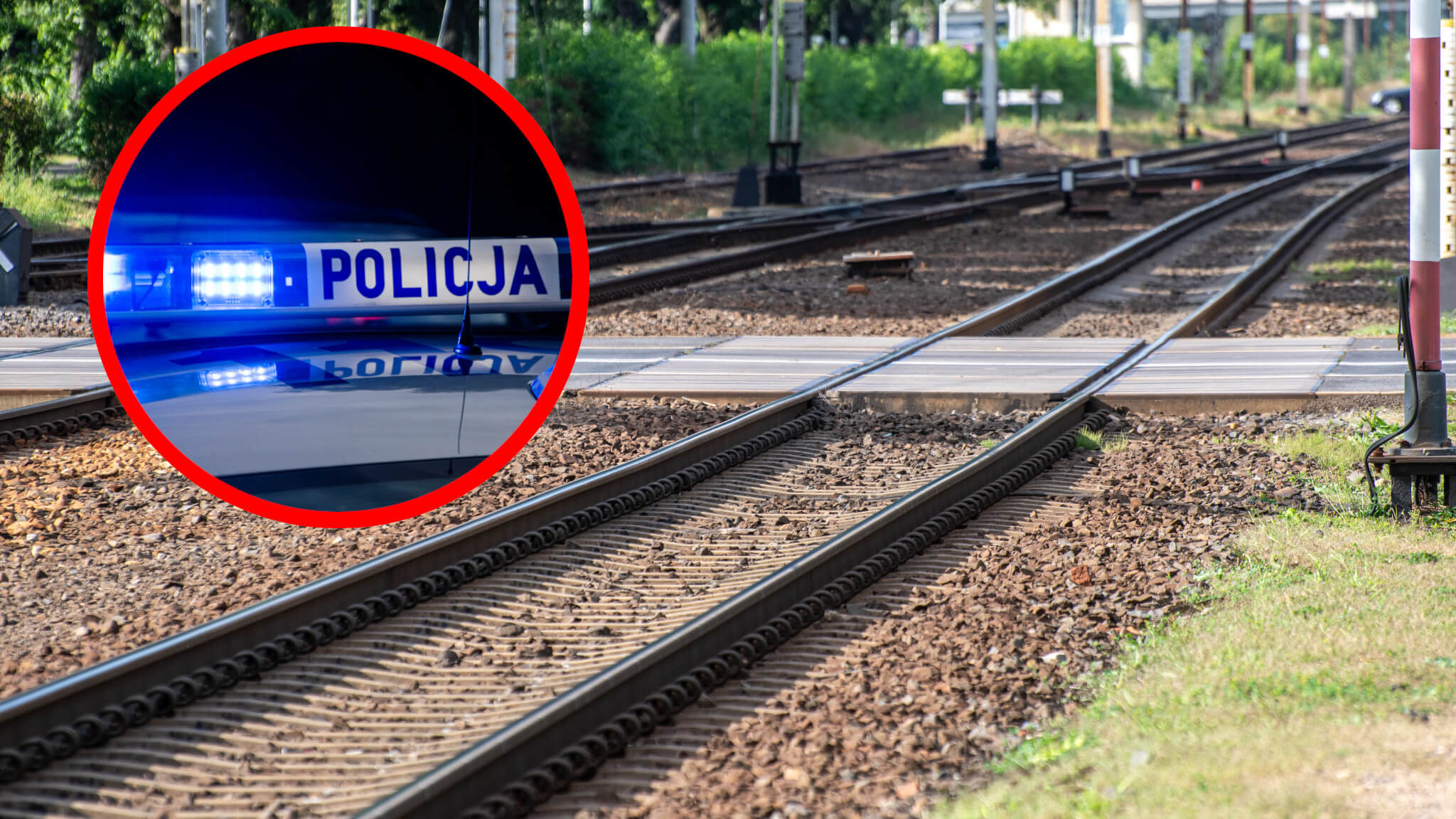 ładunek wybuchowy na torach - Rzepin Gajec pociągi. akcja służb Lubuskie.