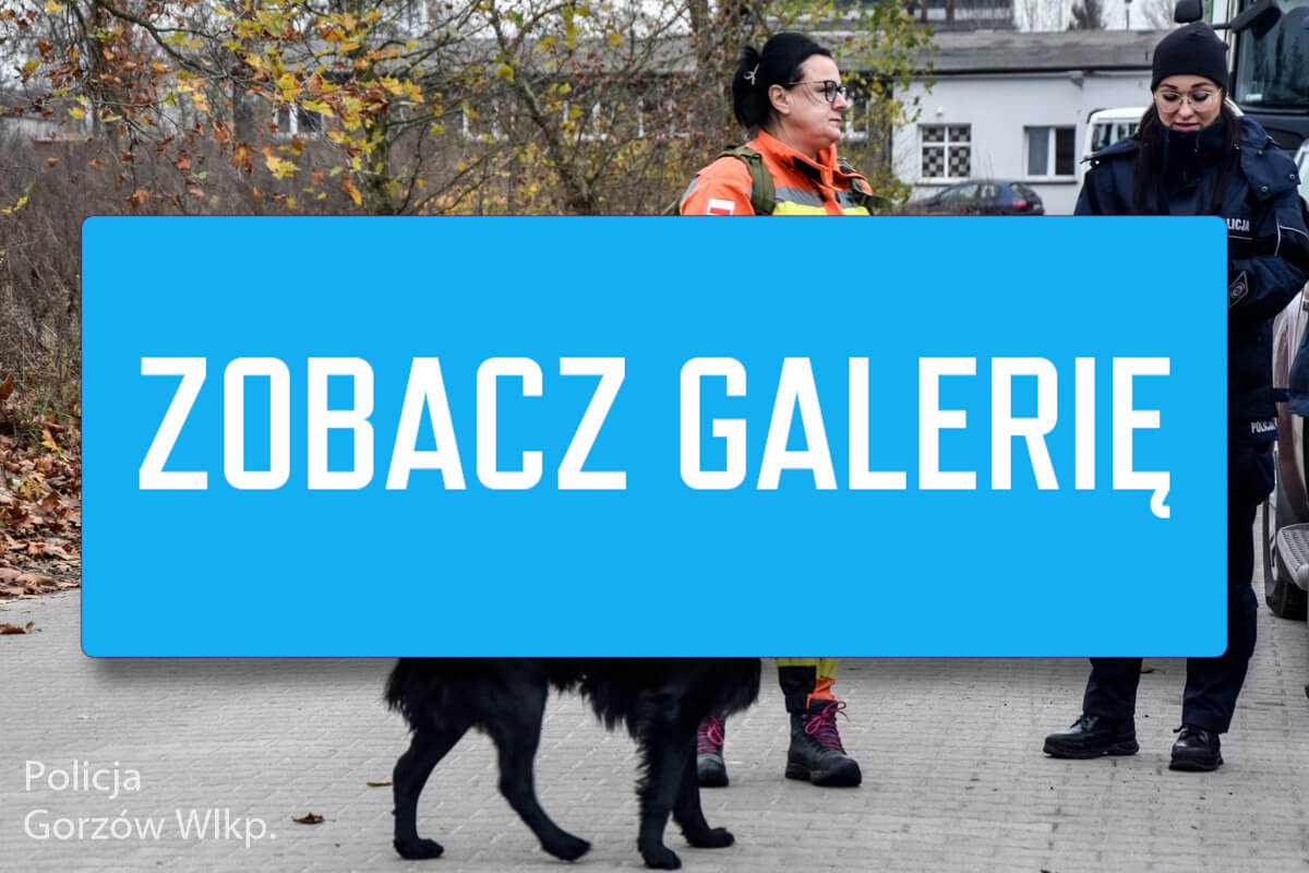 Zaginięcie Kostrzyn nad Odrą - Zaginął Kamil Dec znaleziono ciało mężczyzny