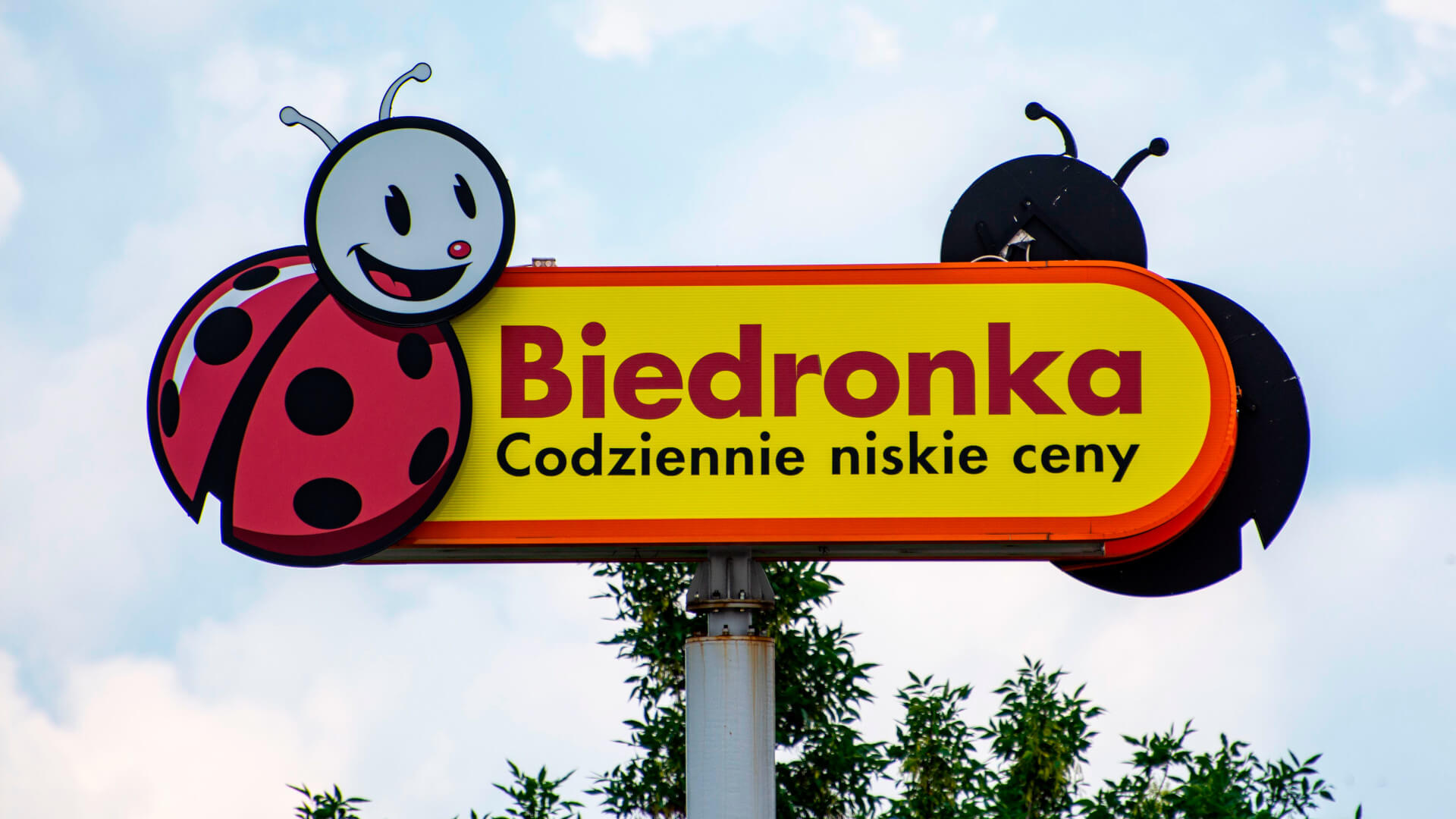 biedronka w sylwestra - biedronka godziny otwarcia