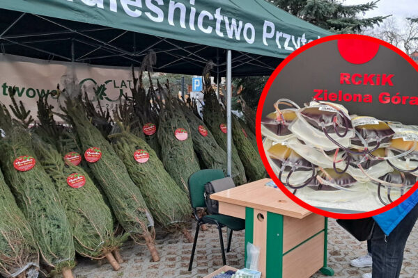 choinka za oddanie krwi - oddawanie krwi Zielona Góra