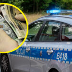 łapówka policja Wigilia Świdnica Zielona Góra