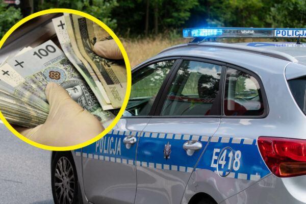 łapówka policja Wigilia Świdnica Zielona Góra