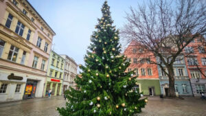 rozświetlenie choinki Zielona Góra - święta Zielona Góra