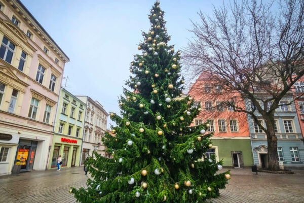 rozświetlenie choinki Zielona Góra - święta Zielona Góra
