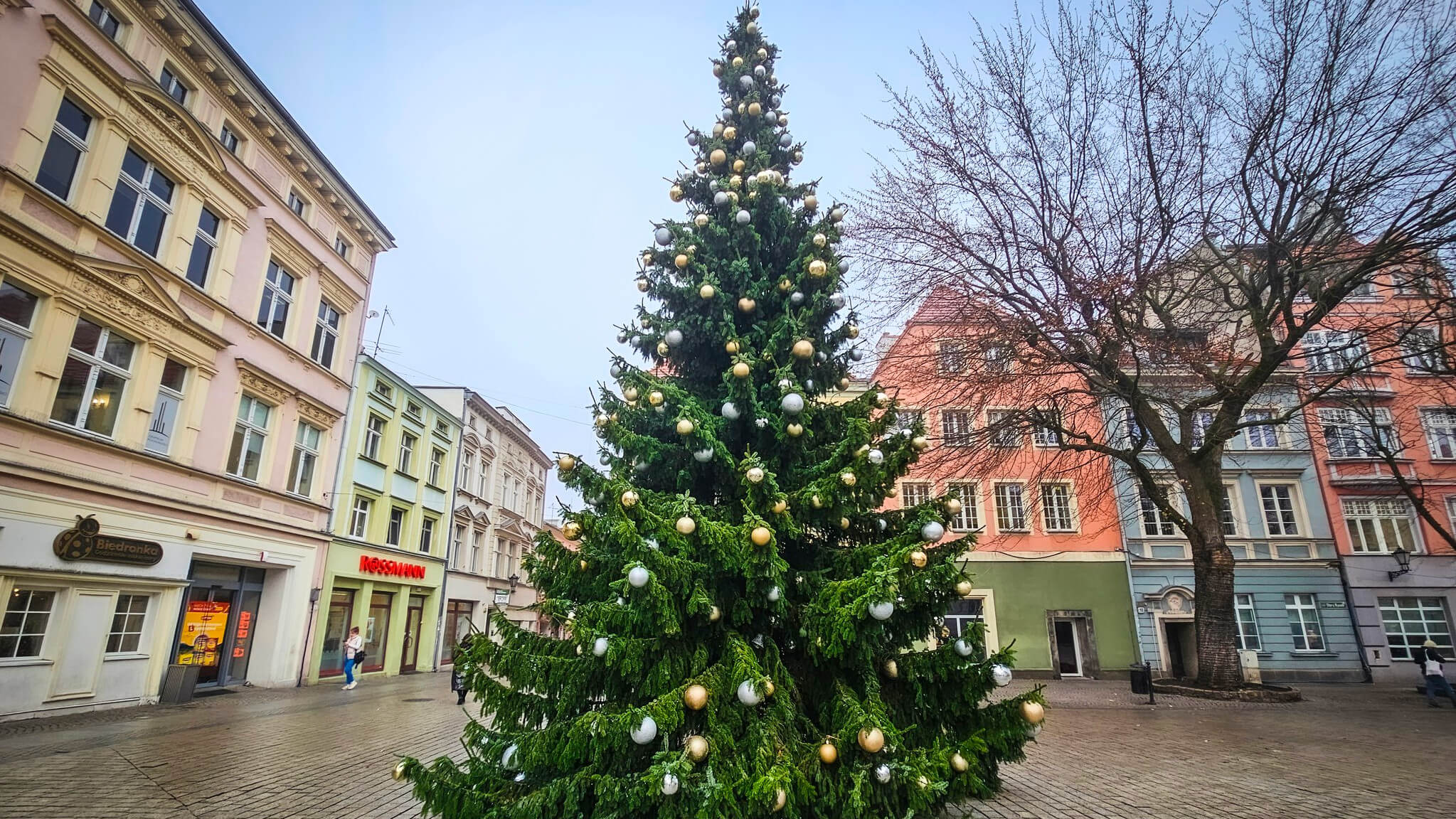 rozświetlenie choinki Zielona Góra - święta Zielona Góra