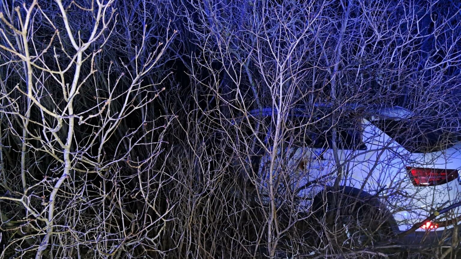 Wypadek na DW289 - Wypadek Zasieki. Wypadek Lubsko