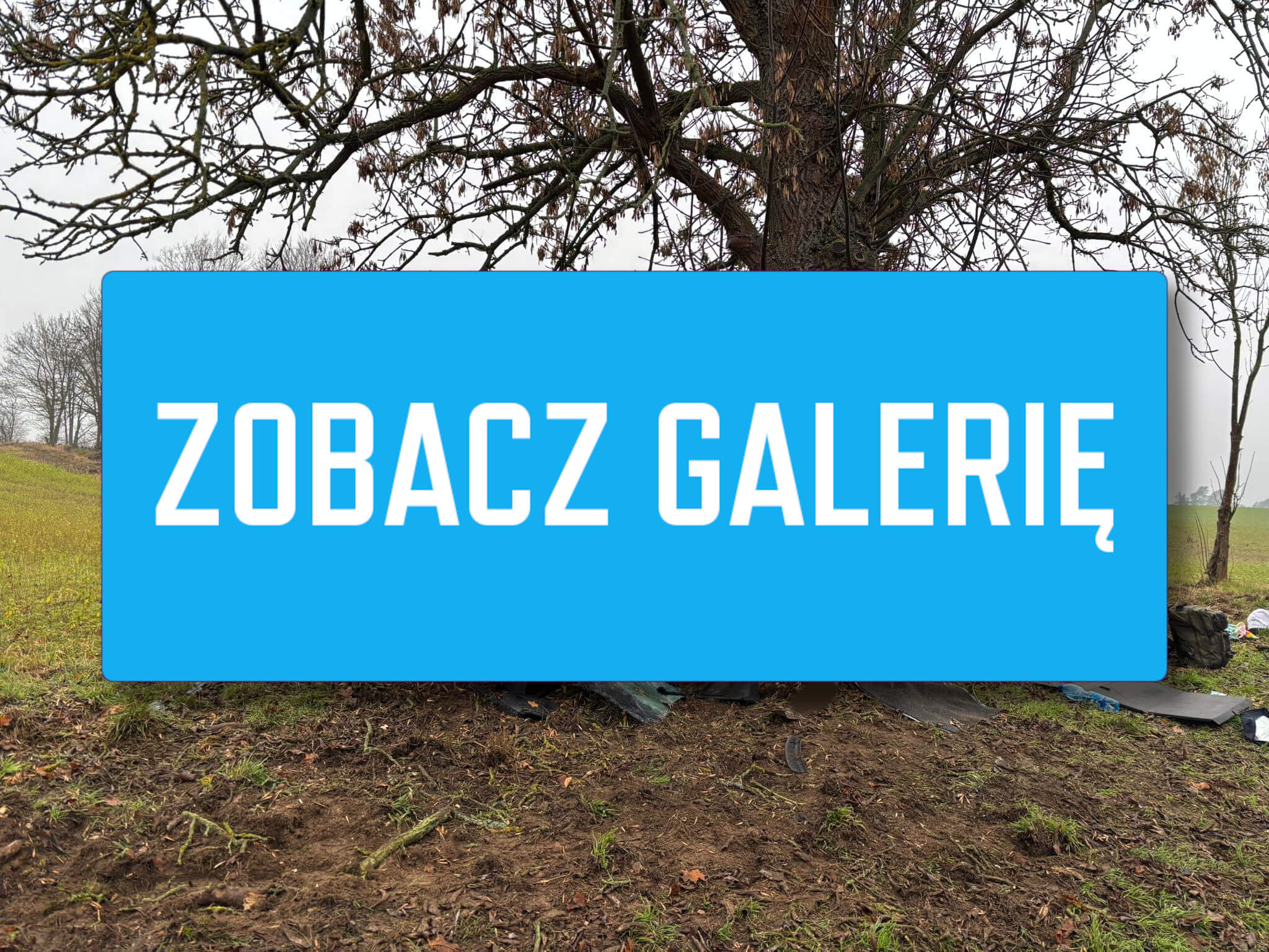 Wypadek na DW136 - Wypadek Lubniewice