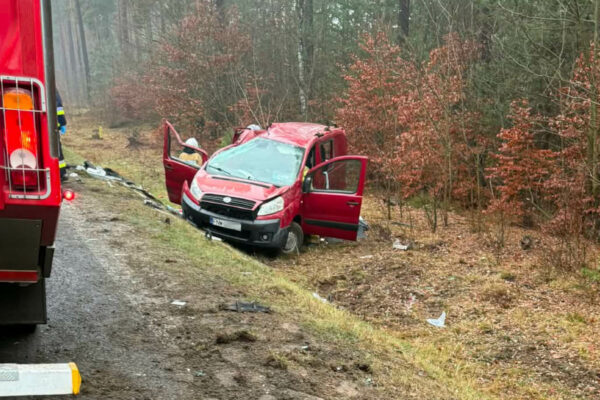 Wypadek na DW295 - Wypadek Nowogród Bobrzański