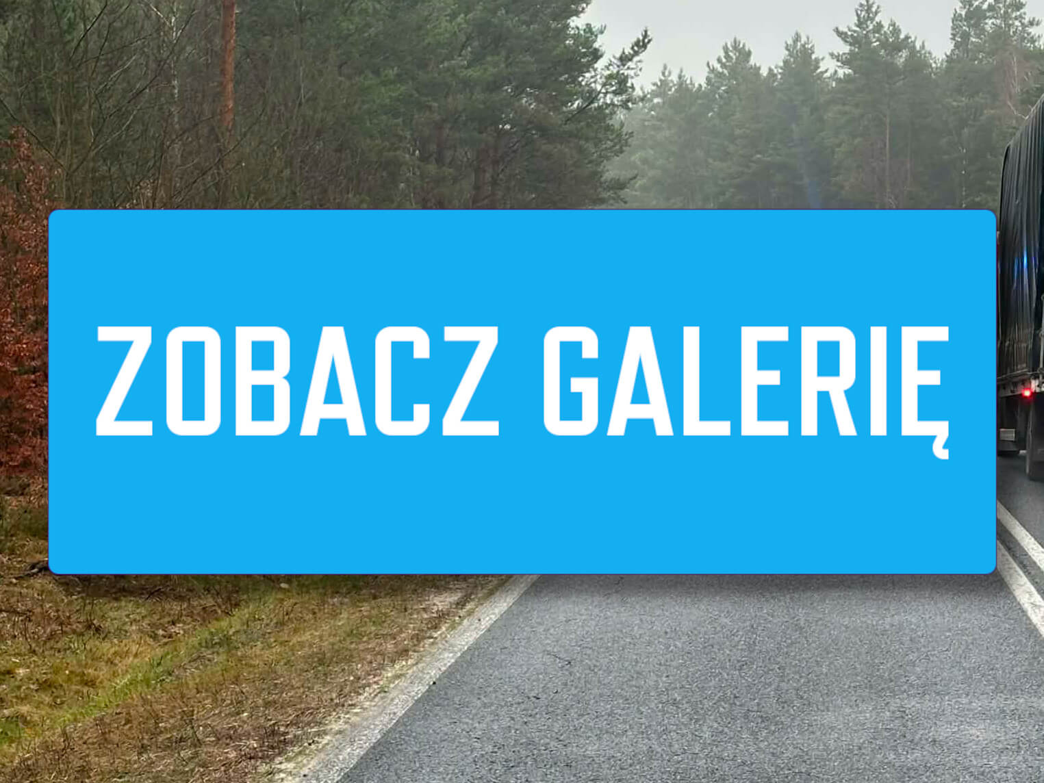 Wypadek na DW295 koło Nowogrodu Bobrzańskiego. Rozbity bus – są ranni Wypadek na DW295 - Wypadek Nowogród Bobrzański