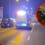 Wypadek Zielona Góra Łużycka - Potrącenie Zielona Góra