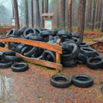 porzucone opony w lesie - Nadleśnictwo Żagań