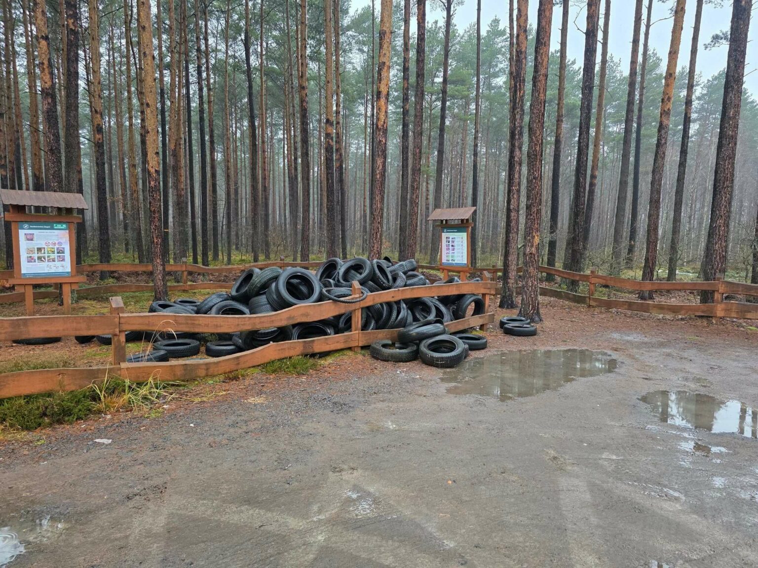 porzucone opony w lesie - Nadleśnictwo Żagań