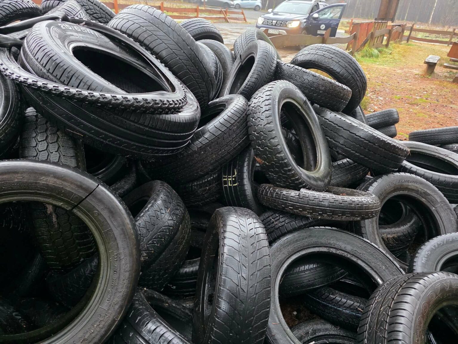 porzucone opony w lesie - Nadleśnictwo Żagań