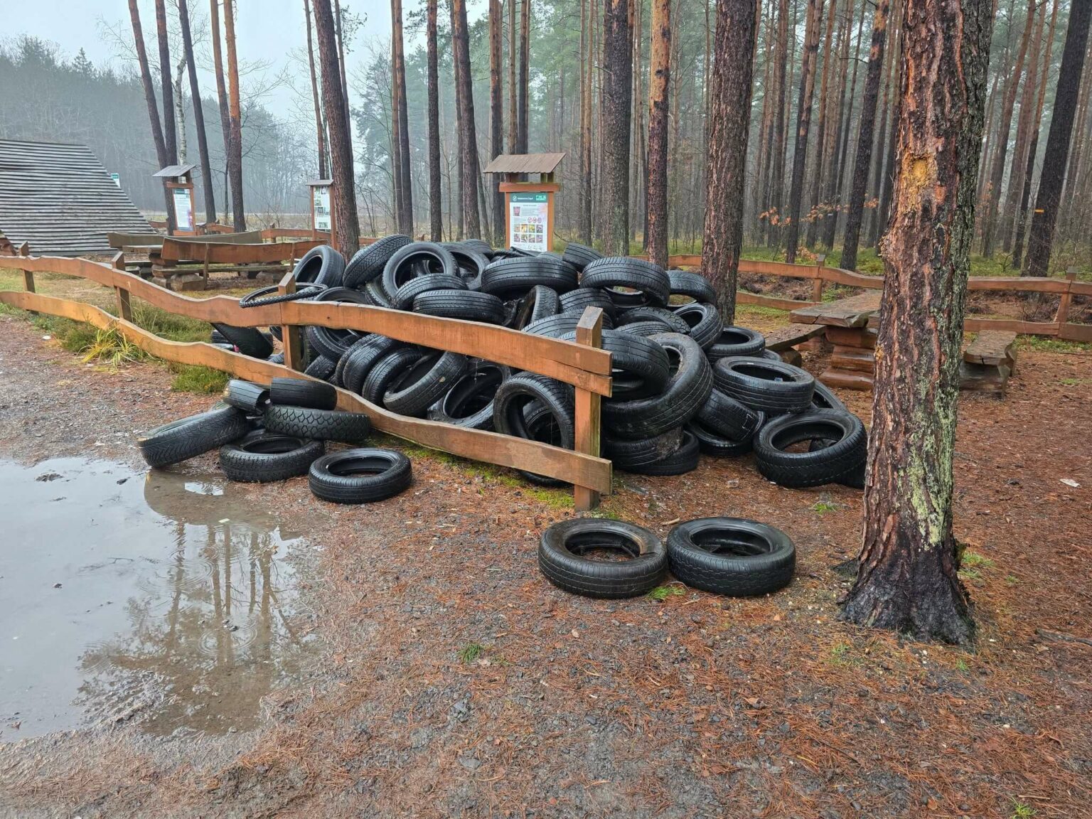porzucone opony w lesie - Nadleśnictwo Żagań