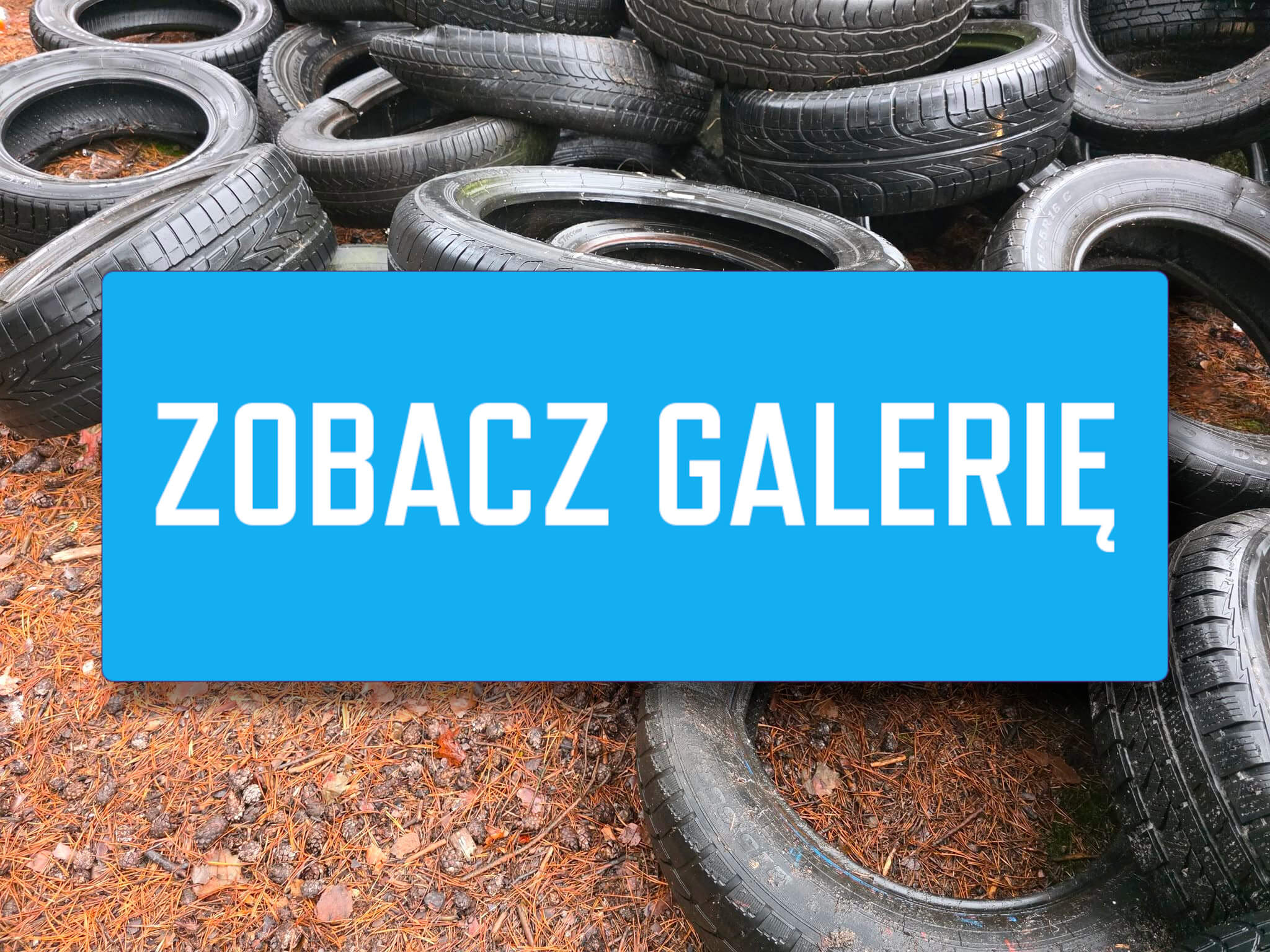 porzucone opony w lesie - Nadleśnictwo Żagań