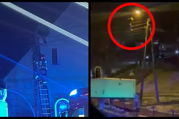 Gubin bez prądu linie energetyczne - akcja służb w Gubinie