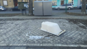 Wanna „wyszła na spacer” w Kargowej. Zaskakujący widok w centrum miasta