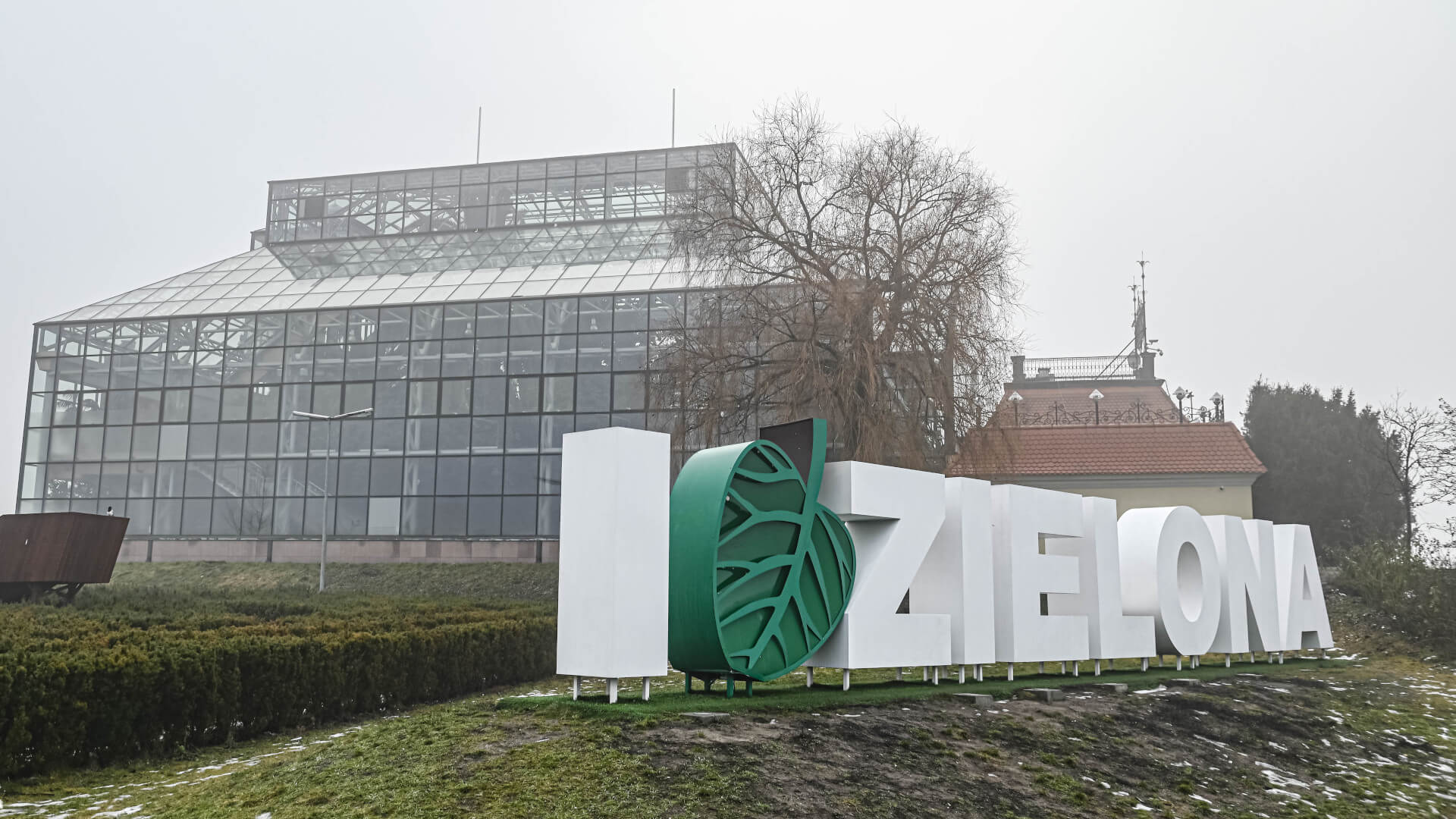 Palmiarnia Zielona Góra - remont Palmiarni