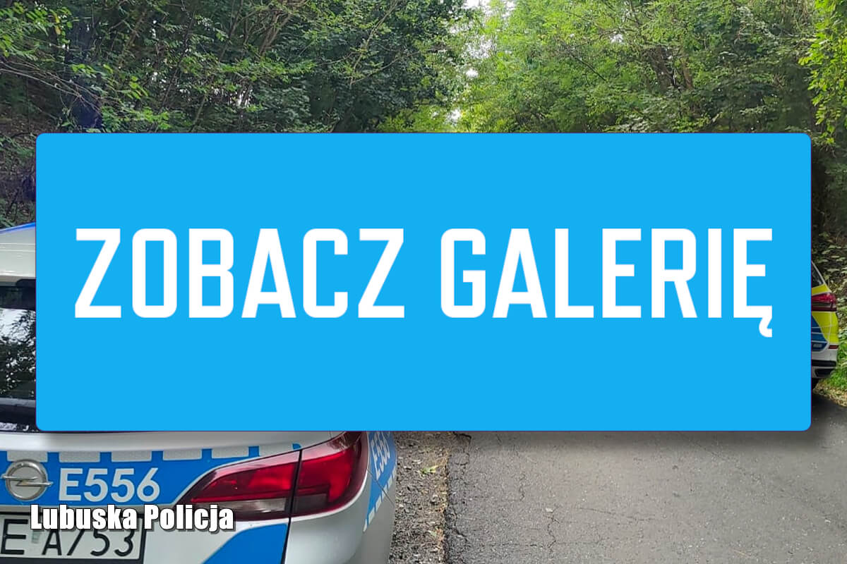 Uciekał przez granicę skradzionym busem. 26-latek stanie przed sądem pościg transgraniczny Gubinek - kradzież busa Peugeot Boxer