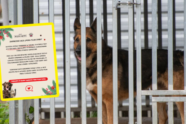schronisko Zielona Góra - Miska Pełna Dobra