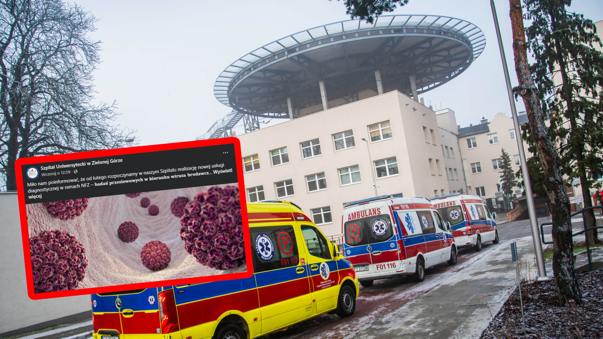 badania HPV Zielona Góra - szpital Zielona Góra