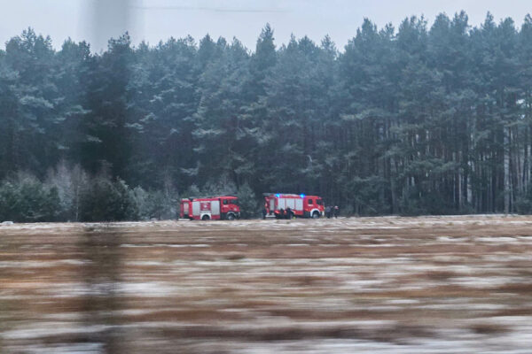 tragiczne odkrycie Zielona Góra - ciało w lesie