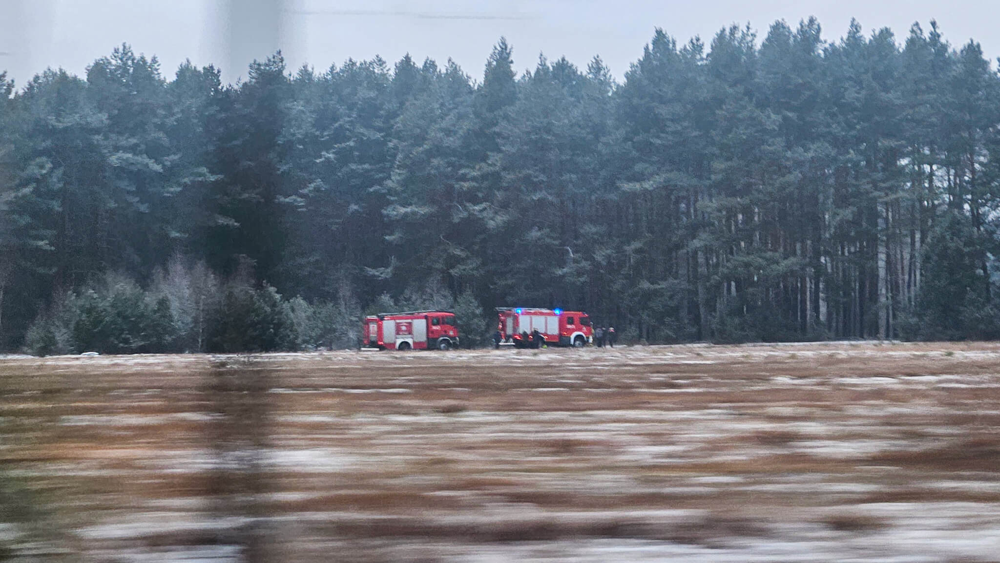 tragiczne odkrycie Zielona Góra - ciało w lesie