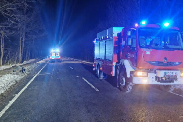 Wypadek na DK29 - Wypadek Cybinka. Potrącenie rowerzysty