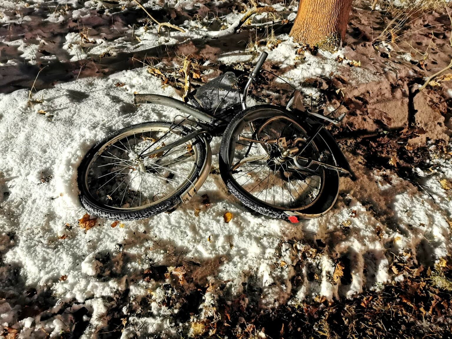 Wypadek na DK29 - Wypadek Cybinka. Potrącenie rowerzysty