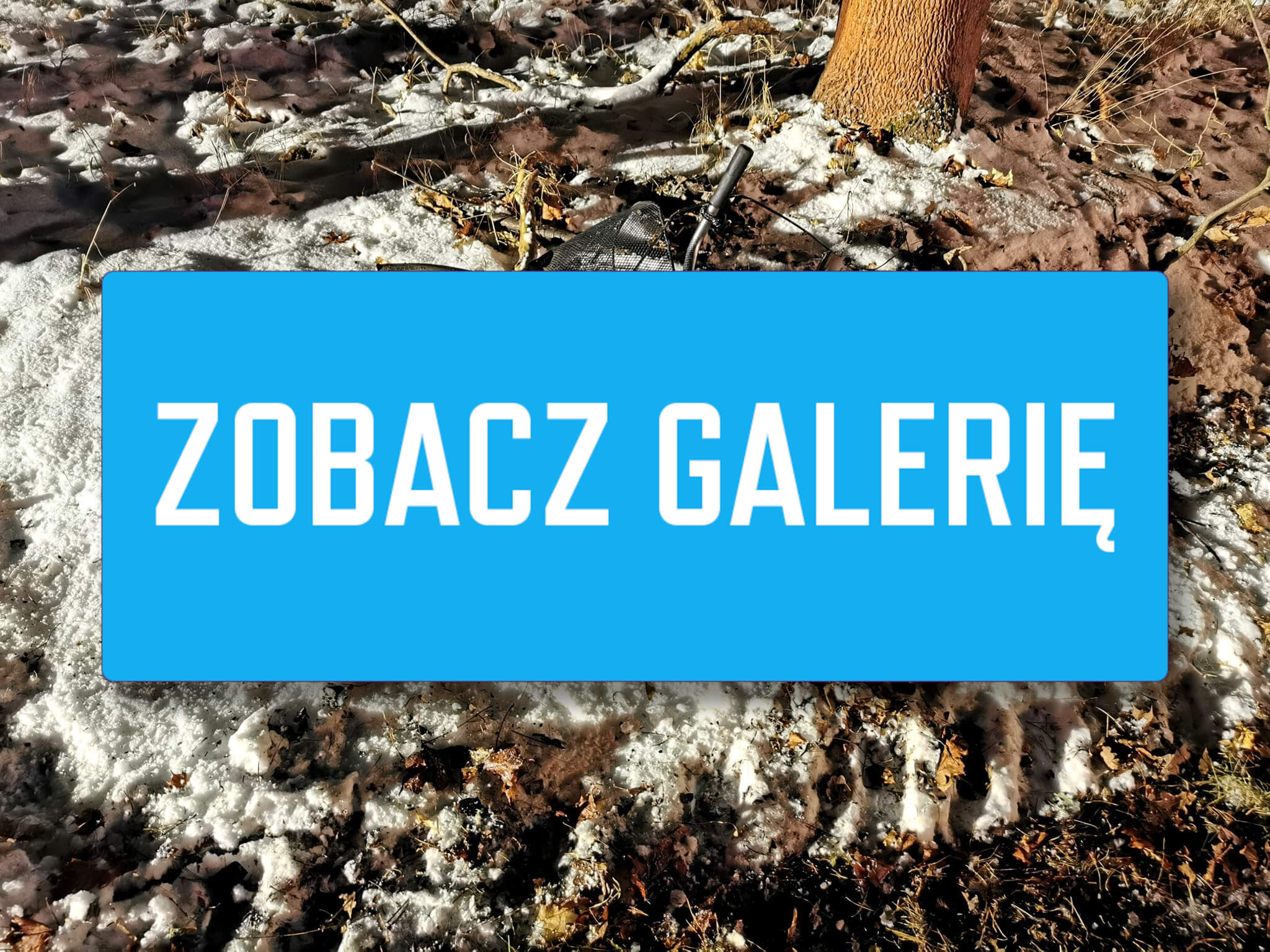 Wypadek na DK29 - Wypadek Cybinka. Potrącenie rowerzysty