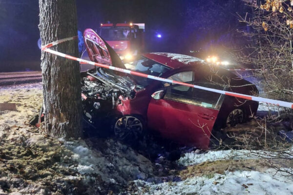 Wypadek na DK29 - Wypadek Słubice. Uderzył w drzewo