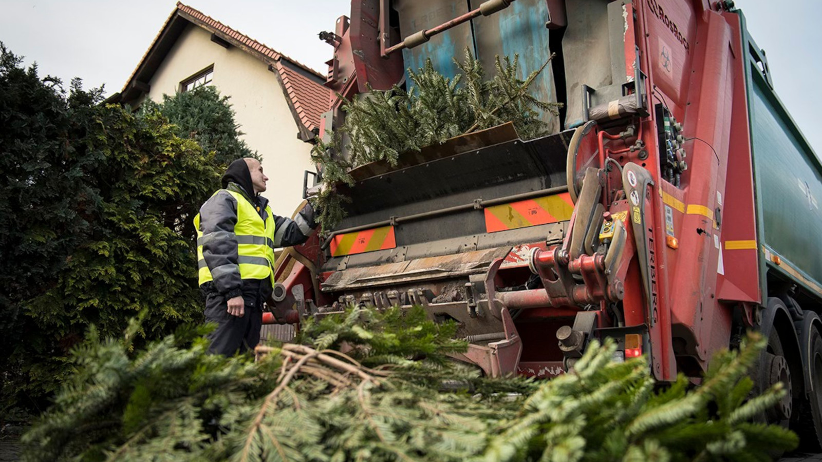 odbiór choinek Zielona Góra - harmonogram odbioru choinek