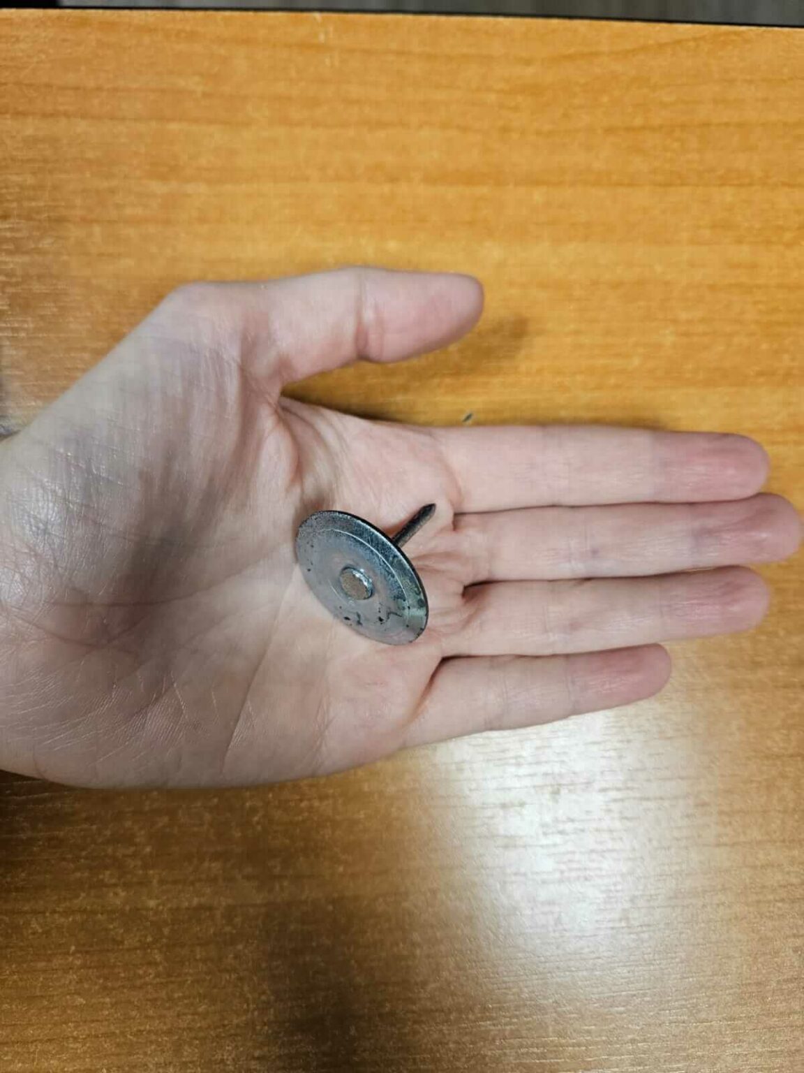 niebezpieczne gwoździe Czerwieńsk Zielona G&oacute;ra