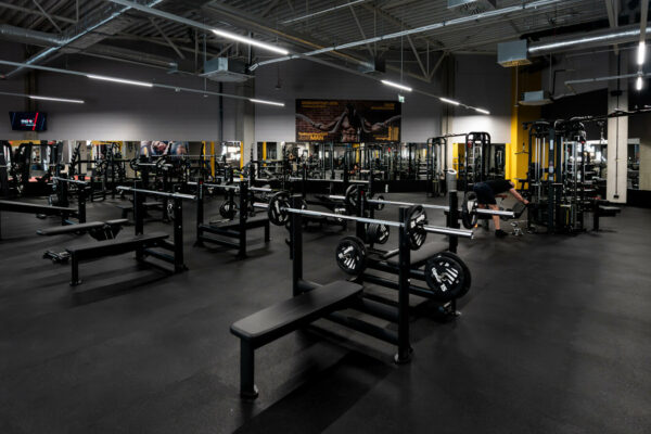 Just GYM Zielona Góra