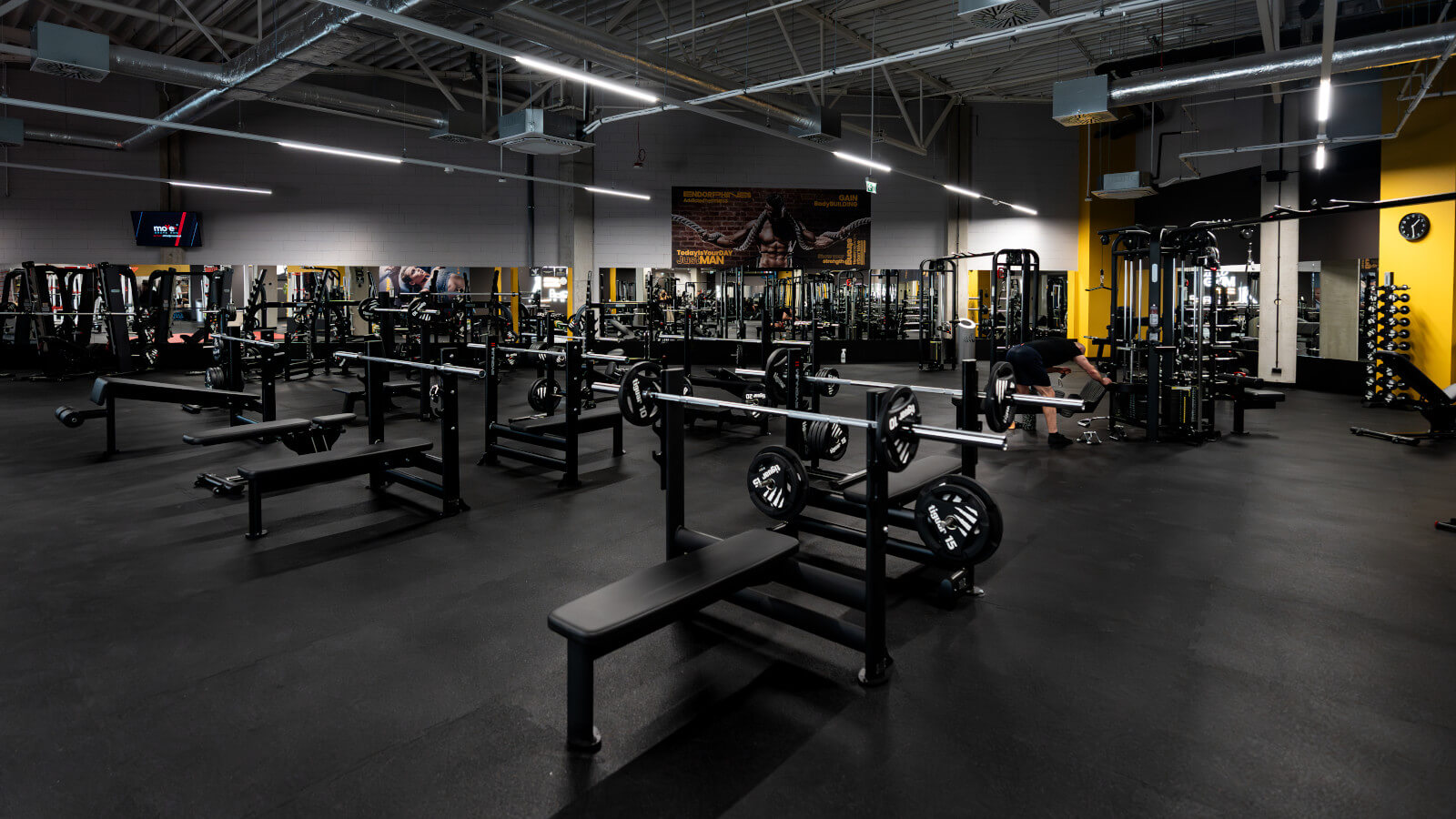 Just GYM Zielona Góra